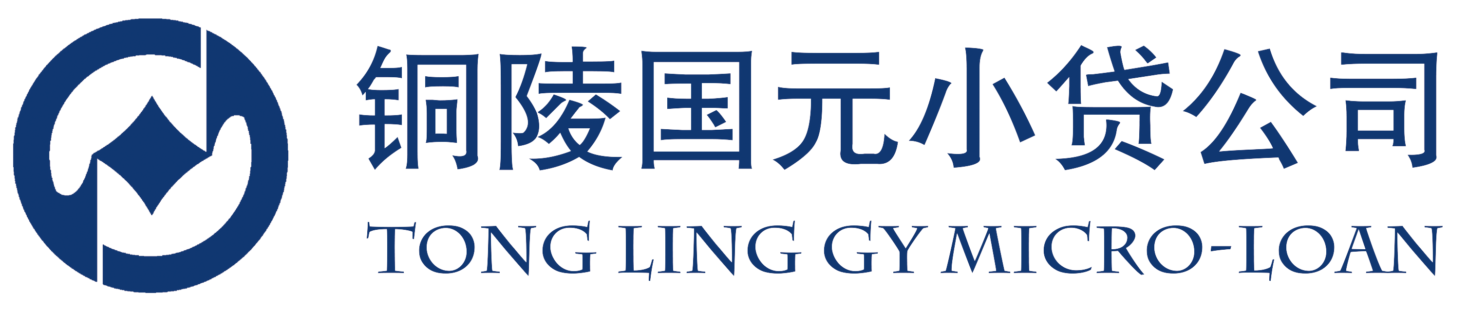 銅陵國(guó)元小額貸款有限責(zé)任公司